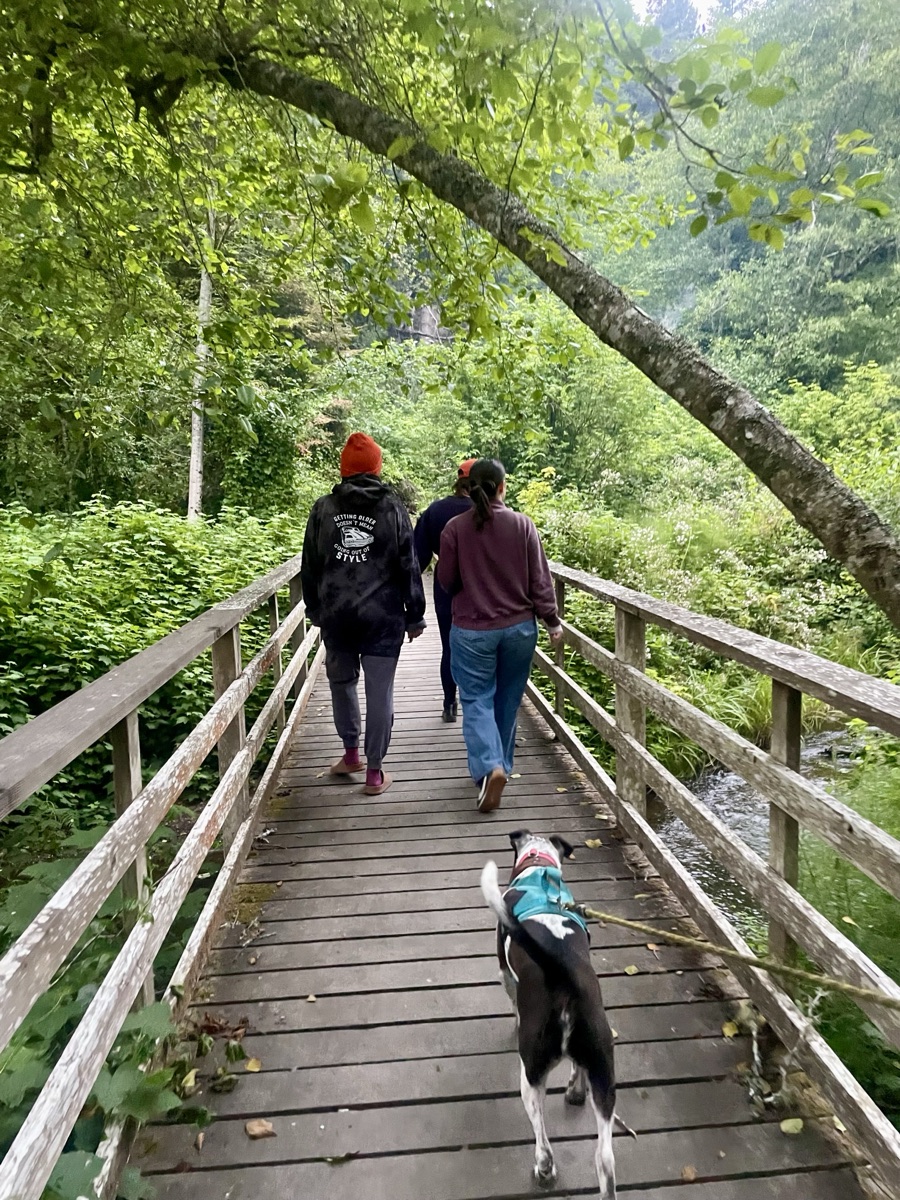 Neighbors walking together through a sunlit redwood forest